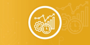 Consulting for efficient software development by Spirit in Projects