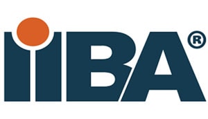 CCBA Zertifizierungsfragen | Sns-Brigh10